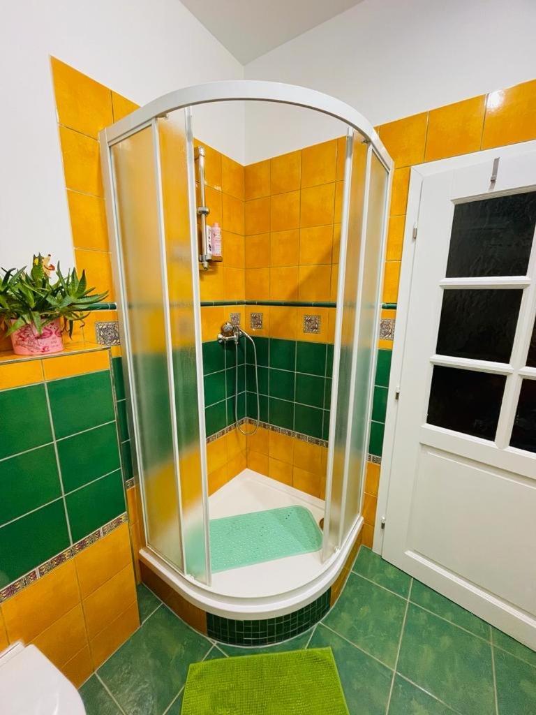 Apartman U Splavu Teplice nad Metují Extérieur photo