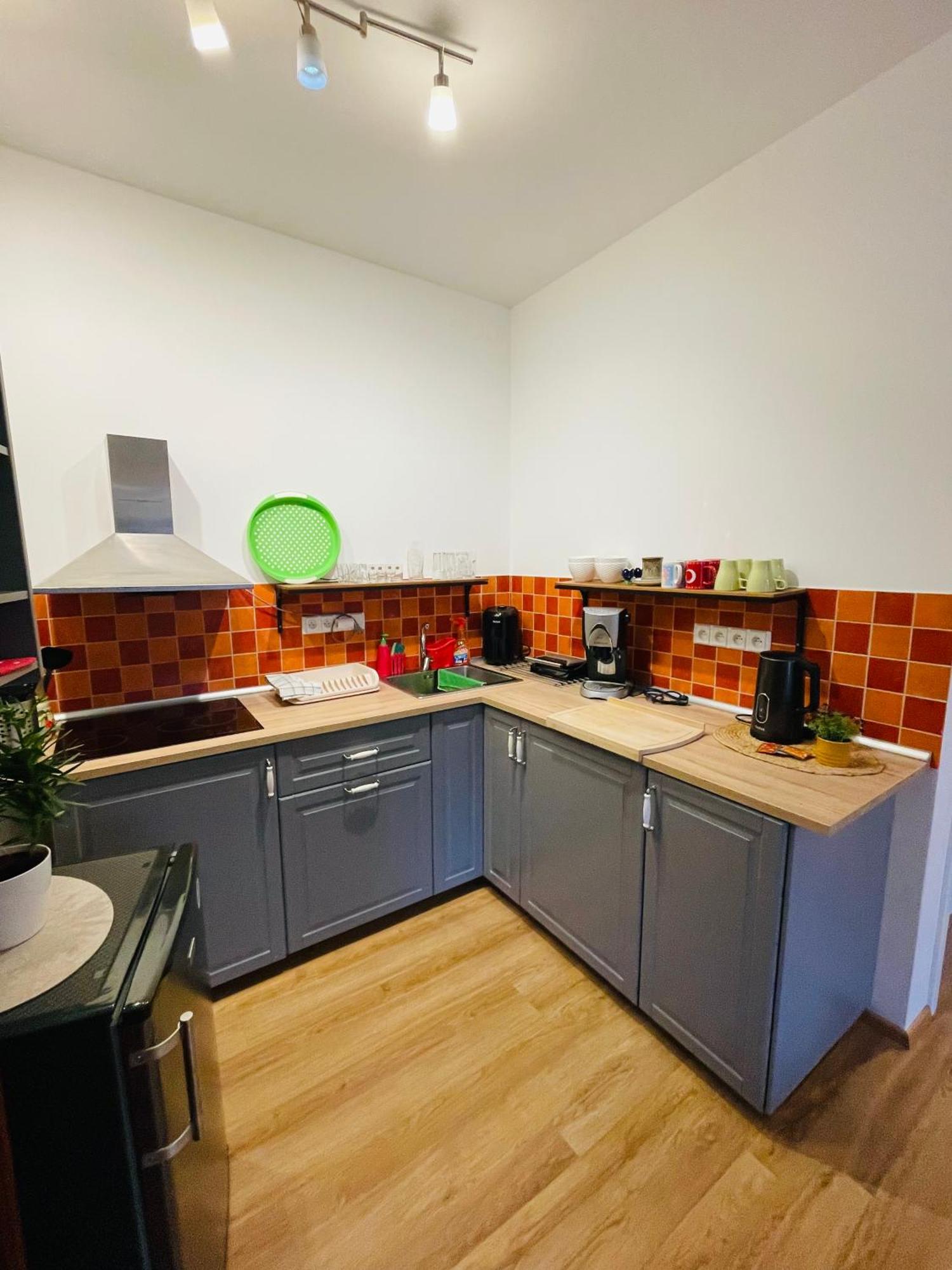 Apartman U Splavu Teplice nad Metují Extérieur photo